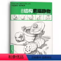 [正版]杨建飞主编经典全集结构素描静物经典全集大开本结构素描静物临摹书籍单体组合绘画大关系透视美术基础技法