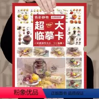 大临摹卡色彩静物 [正版]大8开临摹卡色彩静物 2023敲门砖