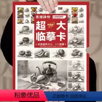大临摹卡素描静物 [正版]大8开临摹卡素描静物 2023敲门砖