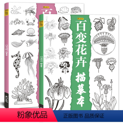动物+花卉 更划算 [正版]花卉动物描线画本素描临摹画册素材手绘画画入门自学零基础控笔训练线稿线条教程书铅笔描摹上色图儿