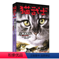 [02]猫武士首部曲 寒冰烈火 [正版]猫武士首部曲全套6册 warriors系列新版第一部曲 小学三四六五年级课外书儿