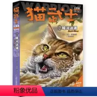 [02]猫武士三部曲 暗河汹涌 [正版]猫武士三部曲全套6册 warriors系列新版第三部曲 小学三四六五年级课外书儿
