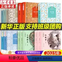 [全6册]高中推荐阅读 [正版]2023贵州书香黔贵高中课外阅读全6册 红楼梦悲惨世界三国演义呐喊堂吉诃德官场现形记四大