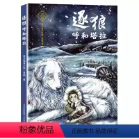 逐狼呼和塔拉 [正版]阅美寒假四年级标准书目打卡广东朝阳读书四年级课外书 逐狼呼和塔拉 黑鹤著 小学三四五六年级课外阅读