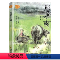 形影不离 [正版]2023贵州书香黔贵4四年级阅读 薛涛形影不离全新修订版薛涛稻田成长小说系列 薛涛 儿童文学小学课外书