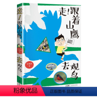 走!跟着山鹰去观鸟 [正版]2023暑假读一本好书 三四年级阅读 熊猫小四 信仰的种子 勐宝小象 走!跟着山鹰去观鸟