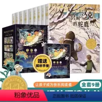 [全9册]国际儿童文学大奖书系 [正版]国际儿童文学大奖书系全9册 中小学生三四五六年级老师课外书经典读物儿童文学初一中