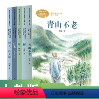 语文 小学六年级 [正版]套装 课文作家作品六年级5册 青山不老 桥 盼 别了语文课 灯光