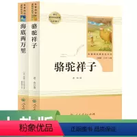 语文 七年级下 [正版]套装名著阅读课程化丛书七年级下册 海底两万里 骆驼祥子人民教育出版社