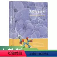 [正版]走进科学大门丛书 漫游化学世界 吴国庆教授与你聊化学 吴国庆 著