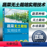 [正版]2021新书蔬菜无土栽培实用技术 彭世勇 果蔬菜类叶菜类蔬菜芽苗菜高效绿色种植技术教程书籍 大棚果蔬西红柿黄瓜