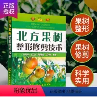 [正版]北方果树修剪技术果树嫁接技术图解书果树嫁接书籍树木修剪园林绿化花草树木管理林木嫁接方法教学种植书籍大全果树