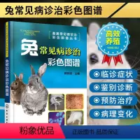 [正版]兔常见病诊治彩色图谱养兔技术养殖技术书高效养兔技术大全与疾病诊断防治技术饲养养殖书籍大全长毛兔养殖养兔