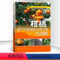 [正版]柑橘高产优质栽培与病虫害防治图解柑橘种植技术书果树修剪书籍果树嫁接技术图解书柑橘与橙橘子柑橘学柑橘种植管理技术