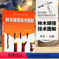 [正版]林木嫁接技术图解果树嫁接技术图解书果树嫁接书籍树木修剪园林绿化园艺花草树木管理林木嫁接方法教学种植书籍大全果树