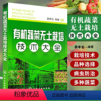 [正版] 蔬菜无土栽培技术大全农业种植技术书籍现代生态农业种植栽培技术书蔬菜种植大全技术书籍 无土栽培新手指南从入门到