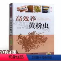 [正版] 高效养黄粉虫粉虫病害防治教程饲料用虫高效养殖技法黄粉虫养殖技术教程黄粉虫蚯蚓养殖场管理规划黄粉虫饲料配方技术