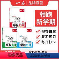 [语文数学英语]3升4 小学通用 [正版]暑假衔接语文数学英语暑假训练1升2升3升4升5暑假作业强化训练 暑假数学代数几