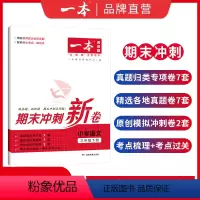 语文数学 一年级下 [正版]小学语文数学期末冲刺100分下册RJ版12345年级专项模拟真题冲刺卷人教 期中期末冲刺10