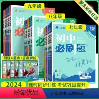⭐对应年级全套-人教版 八年级下 [正版]2024初中七下八九年级下册上册数学英语物理化学生物地理语文全套人教版初一三初