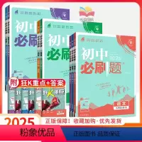 不偏科:人教版]九年级全套7本 九年级上 [正版]2025初中九上九年级上册语文数学英语物理化学政治历史初三9中考总复习