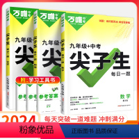 9年级[数学+物理+化学]3本套装 初中通用 [正版]2024尖子生七八九年级数学物理化学专项训练初中初 二一三每日一题