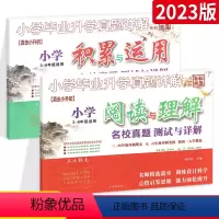 [⭐尖子生 推荐⭐]阅读与理解+积累与运用2本 小学通用 [正版]小升初小学文言文+小学古诗词名校真题测试与详解小学毕业