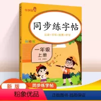 [正版]一年级上册字词训练本 小学一年级上同步字帖语文拼音专项练习册1年级语文同步字帖练字人教版带笔顺看拼音写词语铅笔