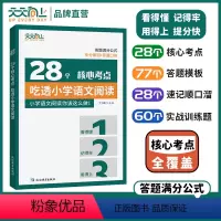 默认 小学通用 [正版]2024天天向上28个核心考点吃透小学语文阅读一二三四五六年级上下册人教版阅读理解专项训练书答题