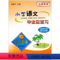 语文 小学升初中 [正版]修订版 2022孟建平小学语文毕业总复习辅导书 小升初语文知识大全总复习备考资料专题训练知识点