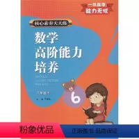数学 六年级下 [正版]2022新版 核心素养天天练 数学高阶能力培养六年级数学 下册通用版 小学课时作业本小学生课堂训