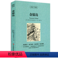 [正版]金银岛英汉对照双语英文原版+中文版读名著学英语斯蒂文森世界名著小说名著中英对照双语版学生必看英语读物原著增强词