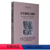 [正版] 少年维特之烦恼 英文原版+中文版 英汉对照 读名著学英语中英文双语世界名着歌德小说中小学生英语原著读物