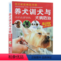 [正版] 养犬训犬与犬病防治 养狗书籍训狗教程书训狗 宠物驯犬手册 狗(认识你爱的宠物) 病犬犬训犬防治与养 家庭养犬