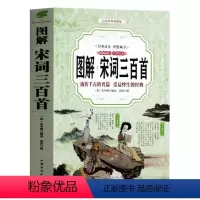 [正版]图解宋词三百首 图解详析文白对照原文注释全注全译精彩解读流传千古的名篇中国古典文化中华好诗词诗经译注