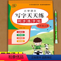 [正版]四年级上册语文同步练字帖人教版 三升四语文暑假练字帖每日一练生字写字天天练小学生钢笔临摹字贴练习硬笔书法抄写本