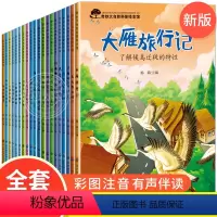 奇妙大自然幼儿科普绘本第一辑+第二辑 全20册 [正版]全套20册幼儿科普绘本启蒙课外读物 3一6儿童绘本故事书亲子阅读