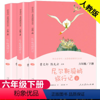 快乐读书吧 尼尔斯骑鹅旅行记[全3册] [正版]尼尔斯骑鹅旅行记上中下3册原著无删减人教版六年级下小学生课外书阅读书籍尼