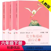 快乐读书吧 尼尔斯骑鹅旅行记[全3册] [正版]尼尔斯骑鹅旅行记上中下3册原著无删减人教版六年级下小学生课外书阅读书籍尼