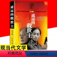 [正版]遥远的救世主 书版 豆豆著小说 热播电视剧天道长篇小说现当代经典文学名著 天幕红尘小说书籍