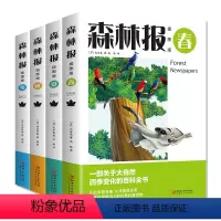 森林报:插图版(全4册) [正版]森林报:插图版春夏秋冬全4册 四年级小学故事书 比安基 一部关于大自然四季变化的儿童百