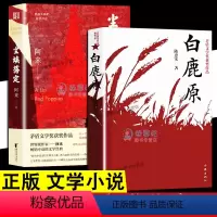 [正版]2册 荣获茅盾文学 奖尘埃落定 白鹿原 现当代文学小说书籍 现当代农村青春文学社会长篇小说散文随笔书籍书籍