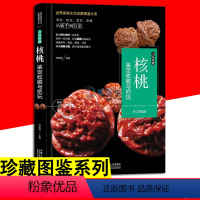 [正版]大本珍藏图鉴大系 文玩核桃 核桃鉴赏收藏与把玩入门到精通核桃辨别把玩养护文玩入门基础知识百科收藏指南画集知识基