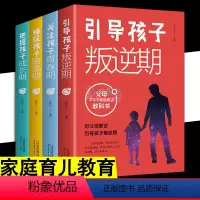 [正版]父母的育儿枕边书 引导把握捕捉关注孩子叛逆期成长期敏感期青春期 4册 正面管教父母的语言养育男孩女孩家庭教育
