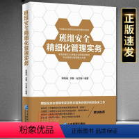 [正版]班组安全精细化管理实务 精细化安全管理专家手把手指导你做好班组安全工作 自我提升安全管理技能的指导书籍