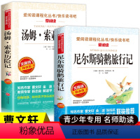 [正版]尼尔斯骑鹅旅行记六年级下册必读课外书 汤姆索亚历险记 完整版原著原版青少年版马克吐温快乐读书吧小学生6年级课外