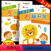 [正版]邦臣小红花左右脑开发书 2-3岁宝宝左脑右脑全脑开发书籍大脑智力大开发两周岁儿童逻辑思维专注力训练二岁半到三岁
