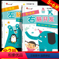 [正版]邦臣小红花左右脑开发书5-6岁思维逻辑训练儿童专注力全脑开发大脑左脑右脑书籍智力大脑力提高六五岁大班幼儿益智早