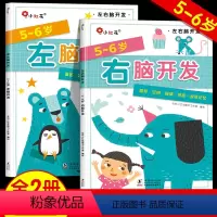 [正版]邦臣小红花左右脑开发书5-6岁思维逻辑训练儿童专注力全脑开发大脑左脑右脑书籍智力大脑力提高六五岁大班幼儿益智早