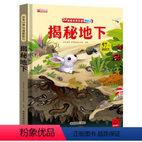 揭秘地下 [正版]揭秘系列儿童翻翻书全套 探秘微生物交通工具我的身体 探索世界科普立体翻翻书绘本故事书3-6-8-12岁